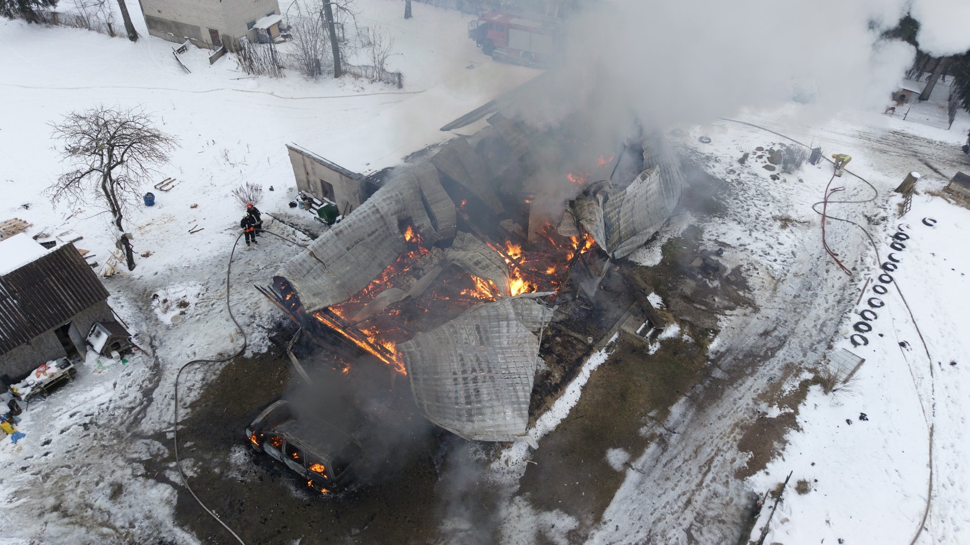 Straipsnio nuotrauka