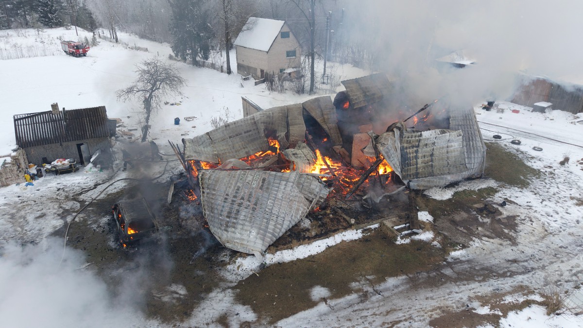 Straipsnio nuotrauka