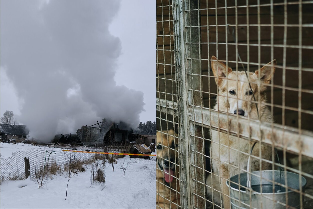 Straipsnio nuotrauka